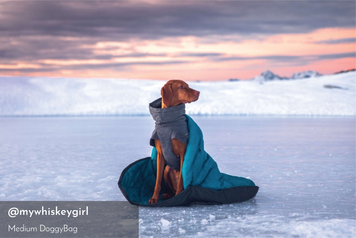 Whyld River's Original Sleeping Bag