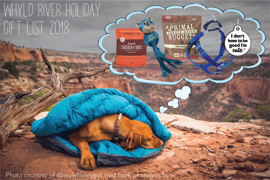 The Top 5 Gifts for your Adventure Dog