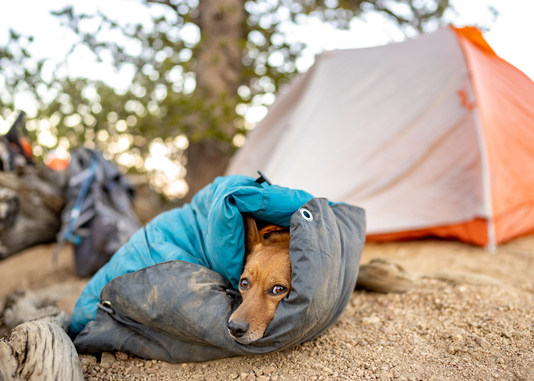 Slightly Loved Original Dog Sleeping Bag